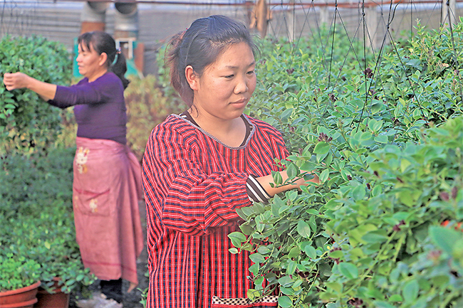 濟(jì)源網(wǎng)