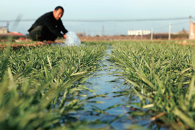 濟(jì)源網(wǎng)