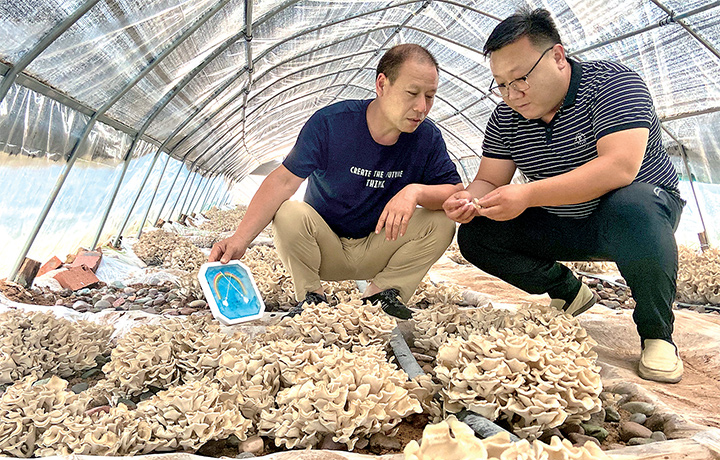 濟(jì)源網(wǎng)