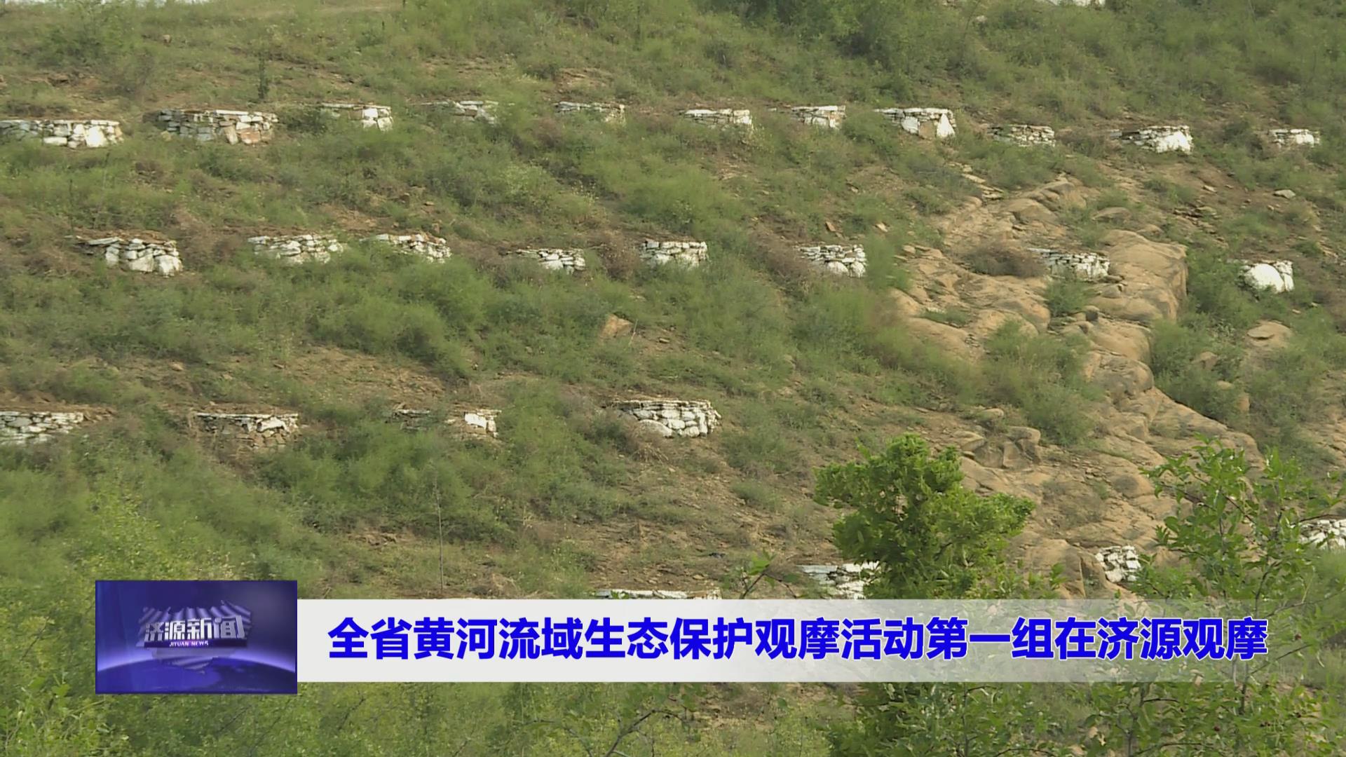 濟(jì)源網(wǎng)