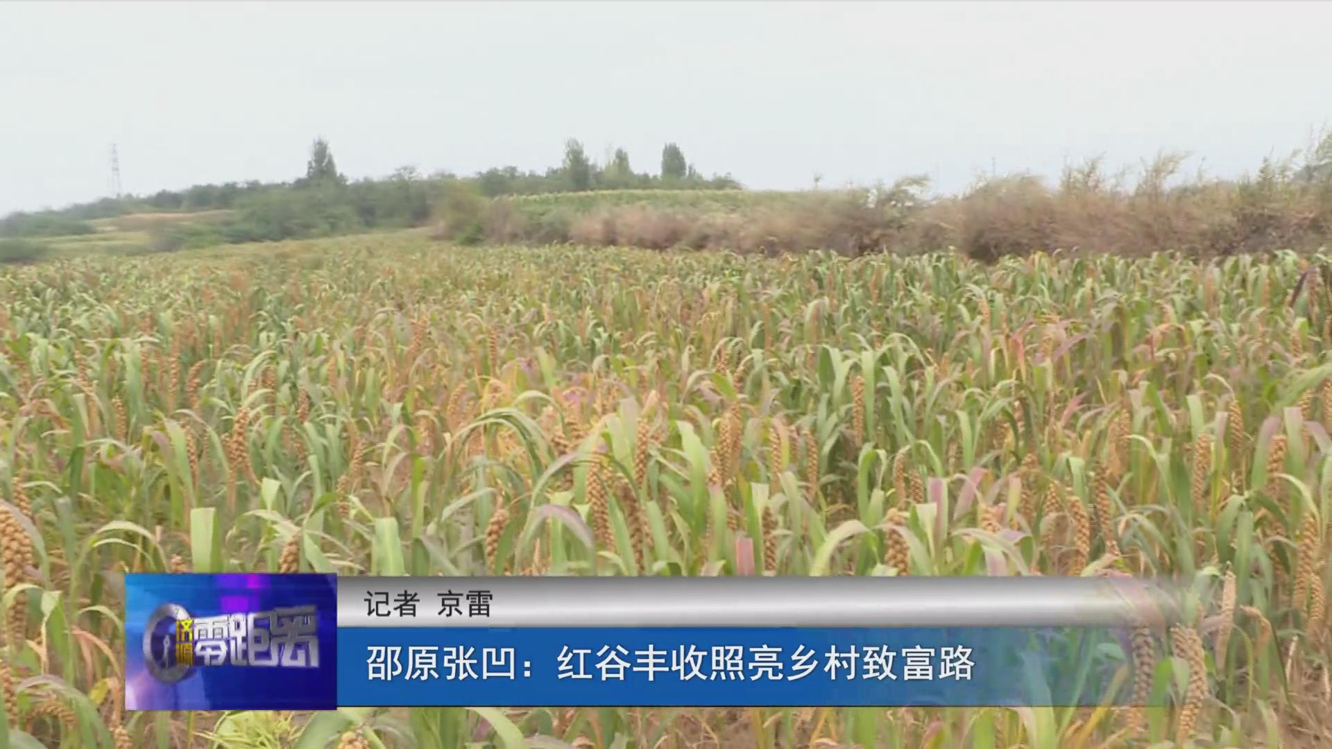 濟(jì)源網(wǎng)