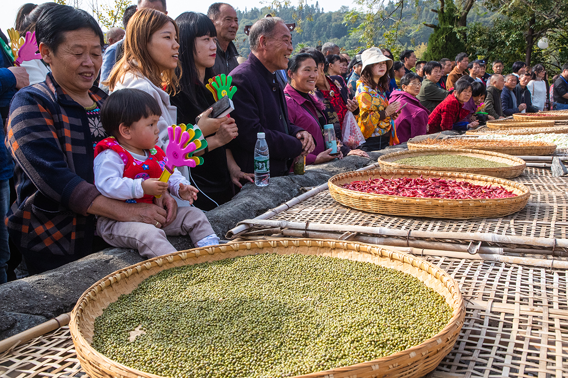 中國鄉(xiāng)村旅游新殺出一匹“黑馬”，人們都往這跑，深秋旅游真火爆