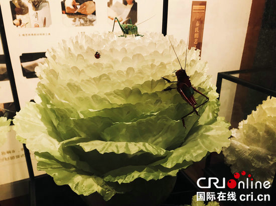 【A】【行走大運(yùn)河】安陽市滑縣：擦亮大運(yùn)河文化帶 打造文旅創(chuàng)新增長極