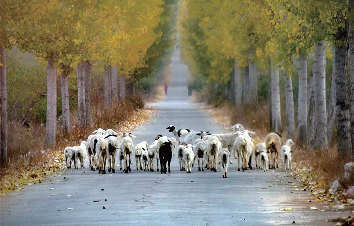 濟(jì)源網(wǎng)