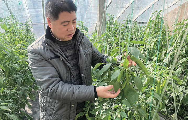 濟(jì)源網(wǎng)