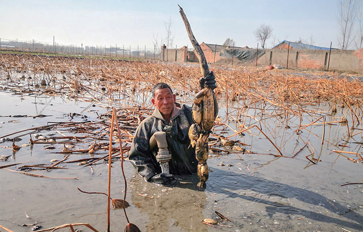 濟(jì)源網(wǎng)