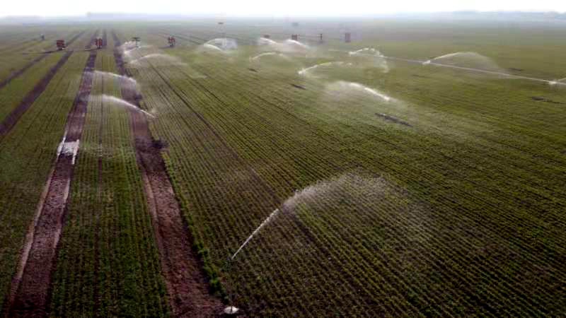 開封張市，農(nóng)民給田地澆水灌溉。李新義攝