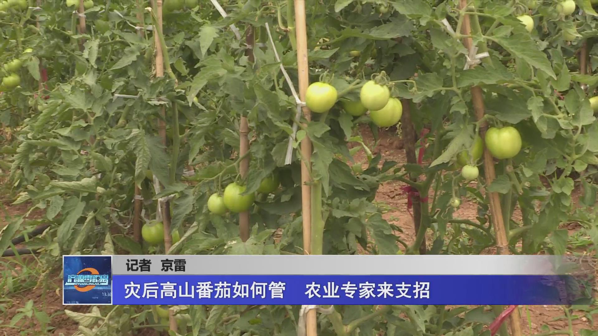 濟(jì)源網(wǎng)