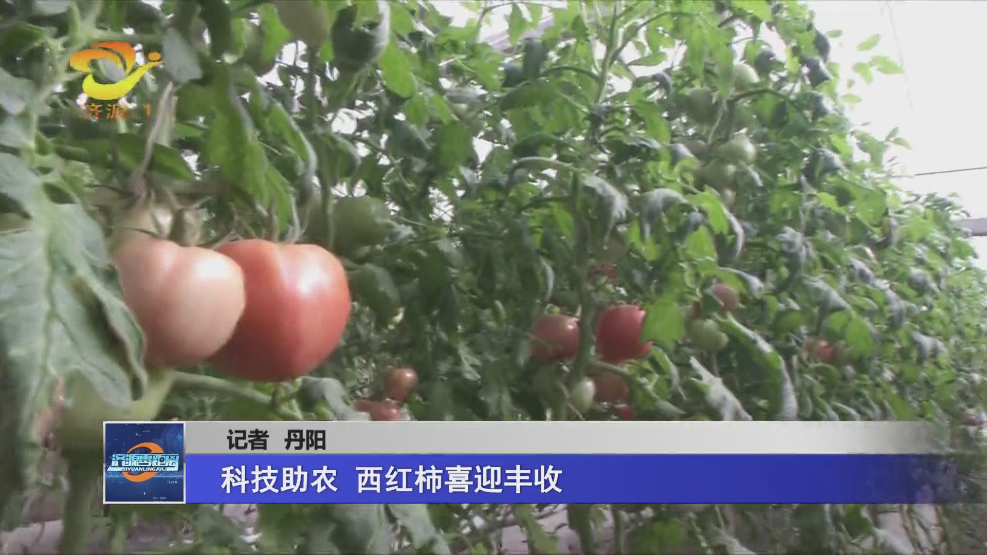 濟(jì)源網(wǎng)