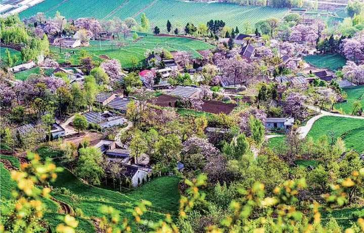 濟(jì)源網(wǎng)