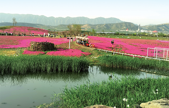 濟(jì)源網(wǎng)