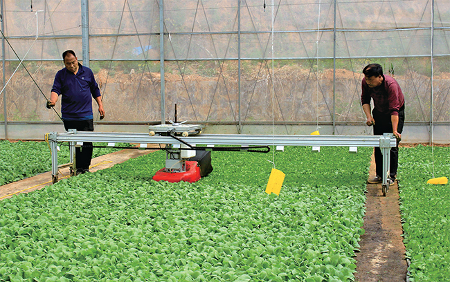 濟(jì)源網(wǎng)