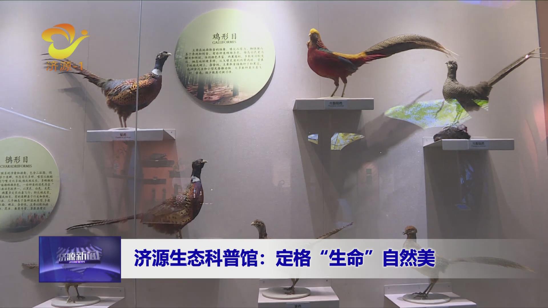 濟(jì)源網(wǎng)