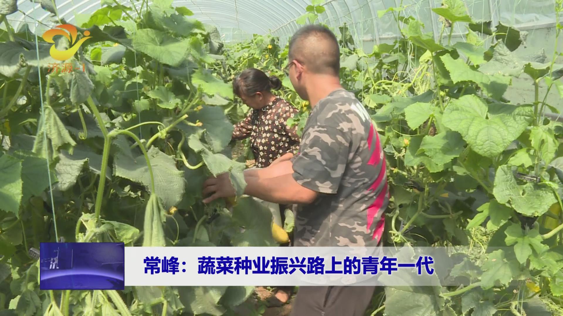 濟(jì)源網(wǎng)