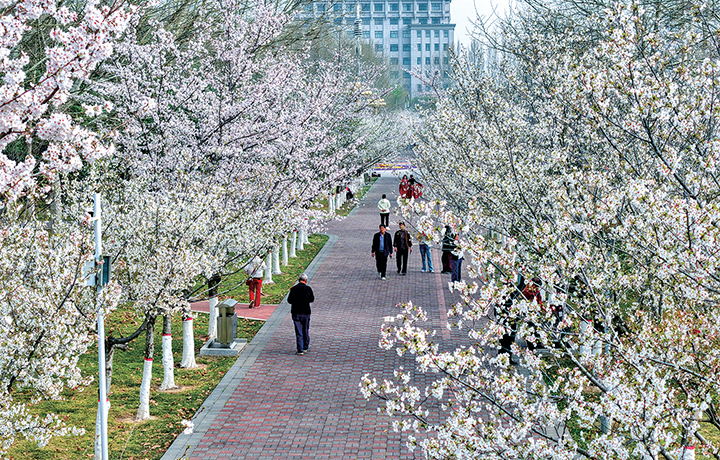 濟(jì)源網(wǎng)