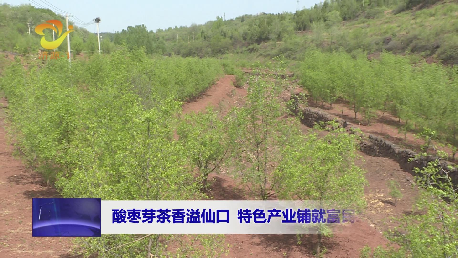 濟(jì)源網(wǎng)