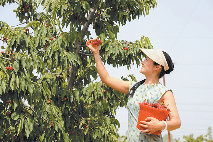 濟(jì)源網(wǎng)