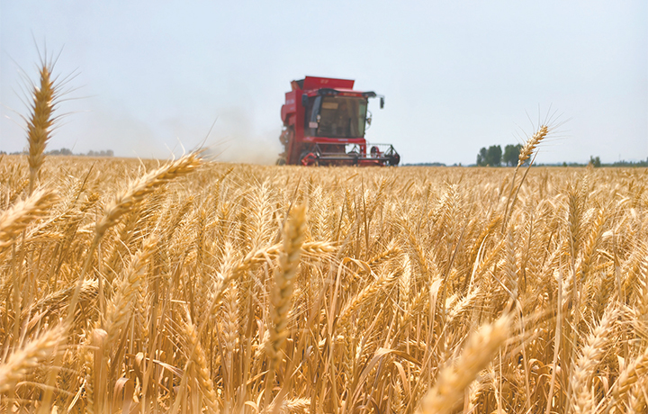 濟(jì)源網(wǎng)