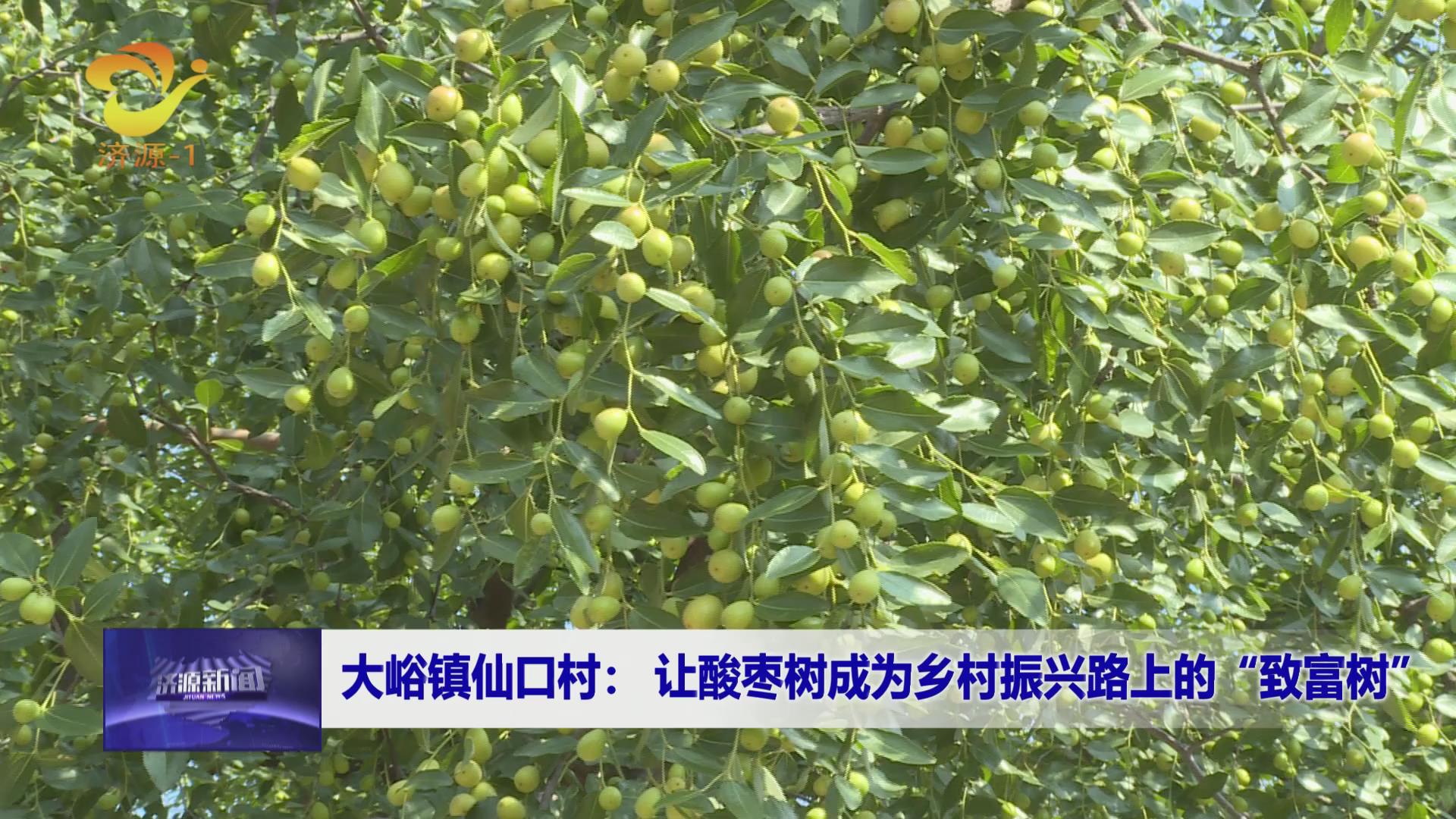 濟(jì)源網(wǎng)