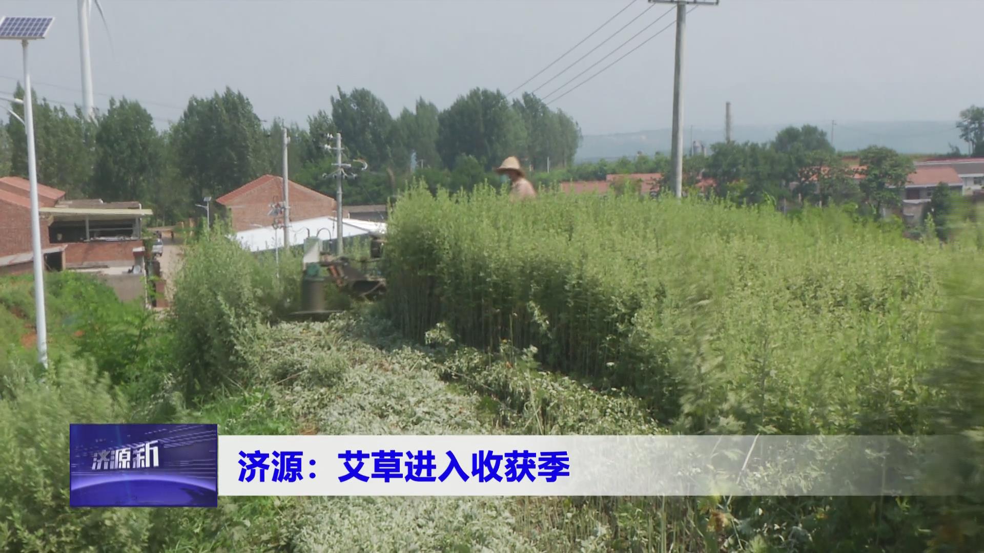 濟(jì)源網(wǎng)