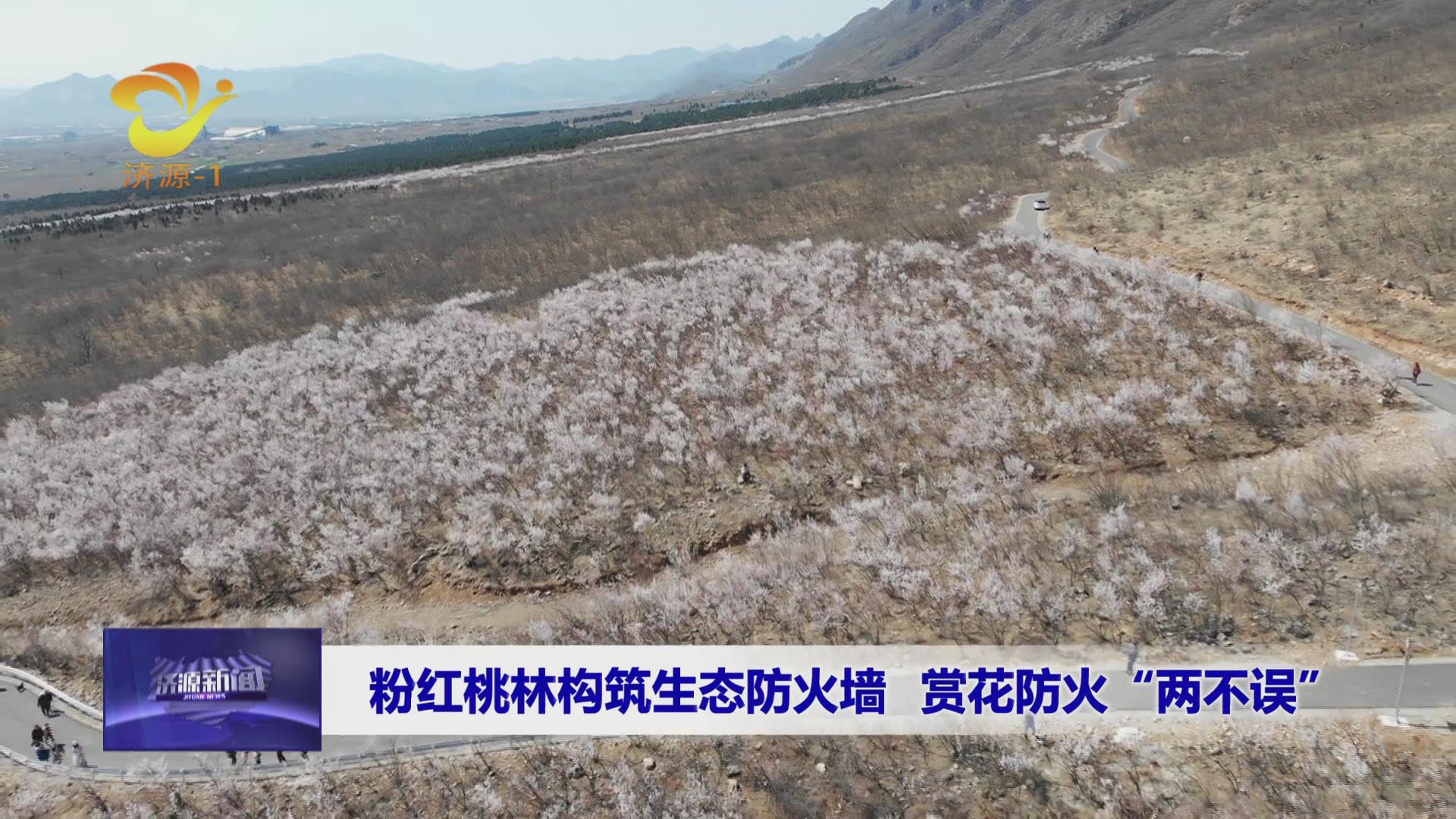 濟(jì)源網(wǎng)