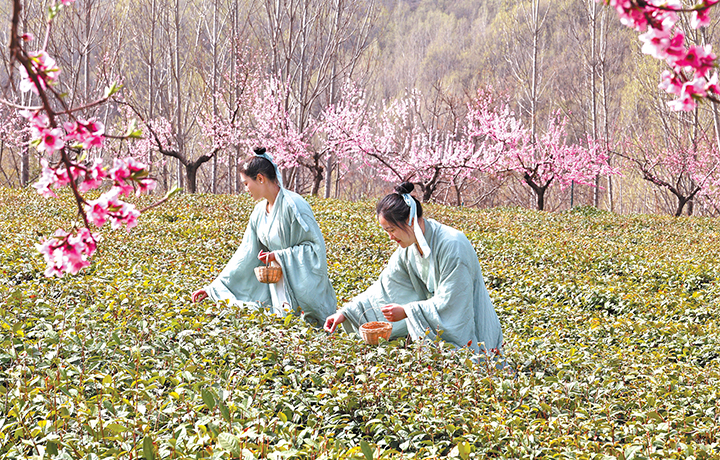 濟(jì)源網(wǎng)