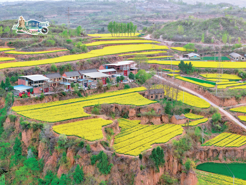 濟(jì)源網(wǎng)