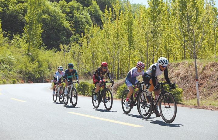 濟(jì)源網(wǎng)