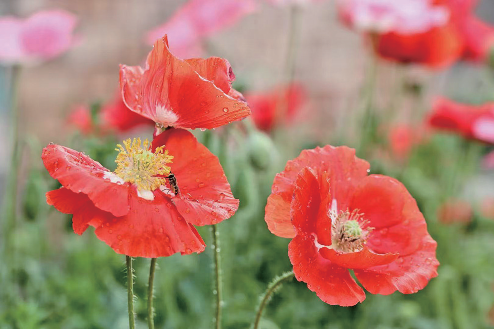 濟(jì)源網(wǎng)