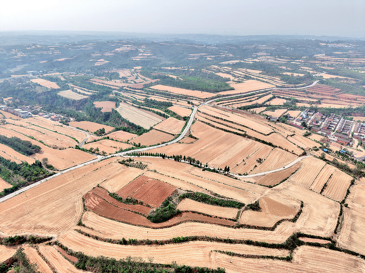 濟(jì)源網(wǎng)