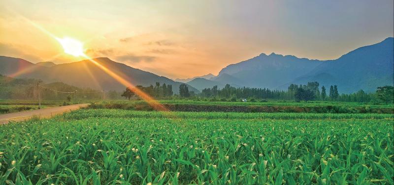 濟(jì)源網(wǎng)