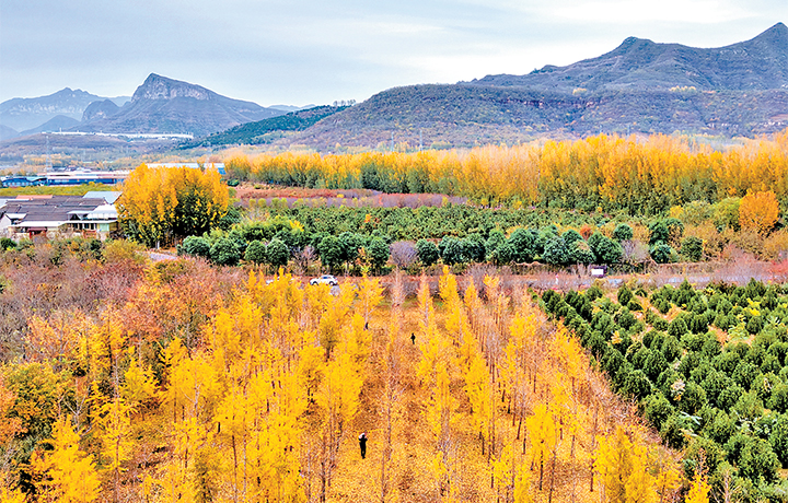 濟(jì)源網(wǎng)