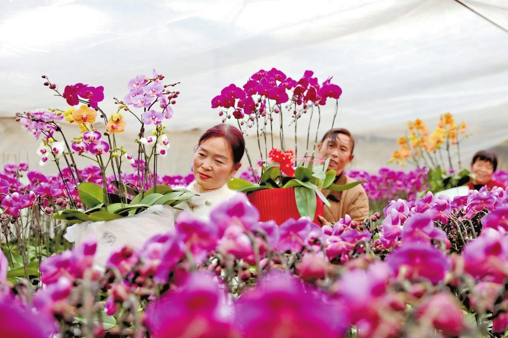 濟(jì)源網(wǎng)