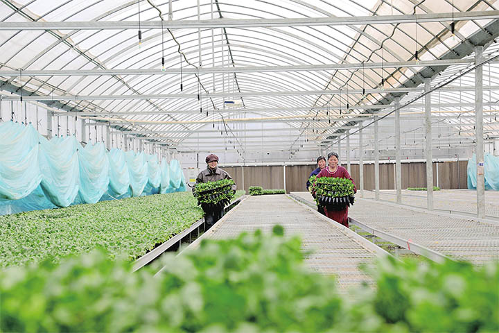 濟(jì)源網(wǎng)